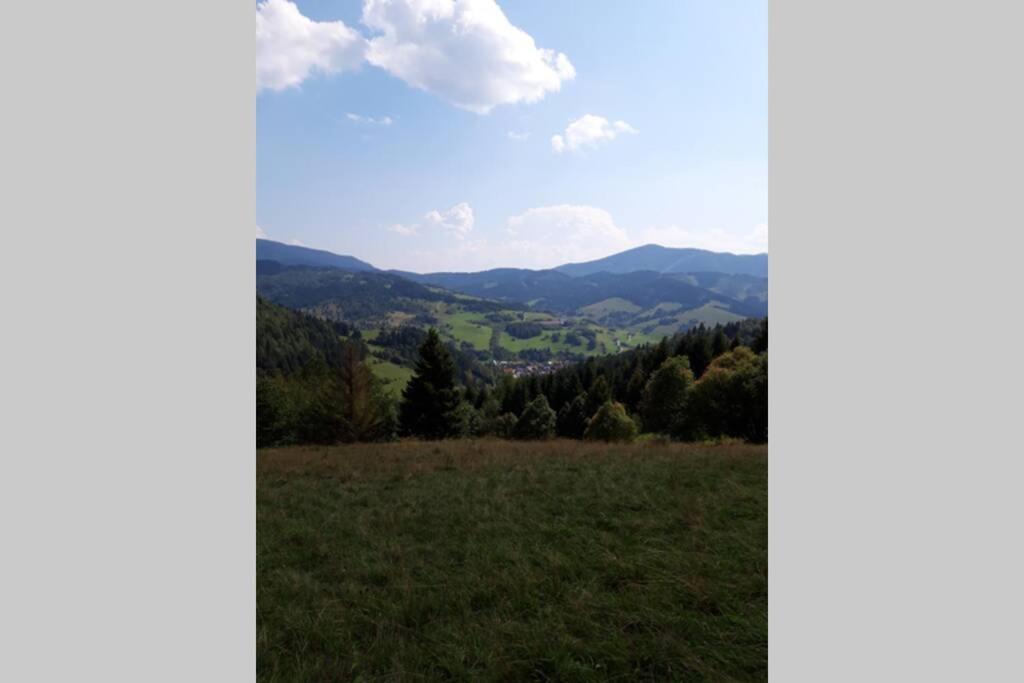 Ferienwohnung Horska Turistika S Domaci Atmosferou Dolny Kubin Exterior foto